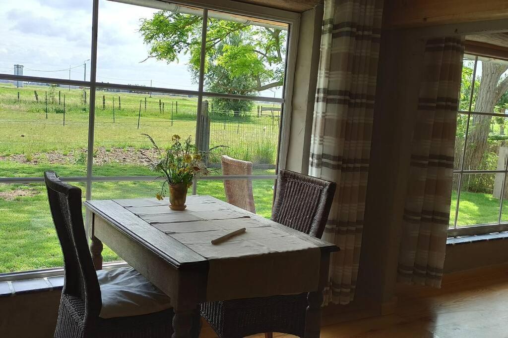Korentil . Cosy House With Private Garden De Haan Zewnętrze zdjęcie